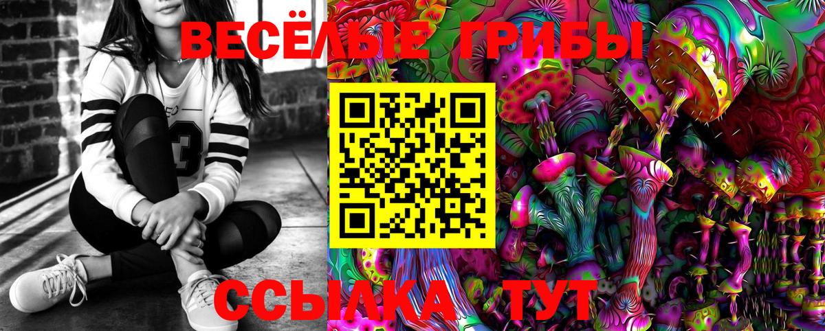 Галлюциногенные грибы Psilocybine cubensis  Вход с VPN  Белореченск  наркотики  Галлюциногенные грибы Magic Shrooms 